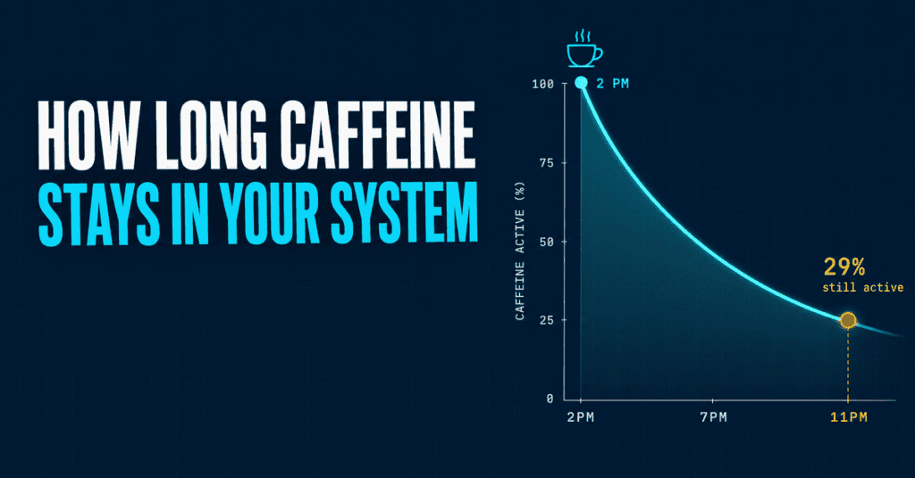 How long does caffeine stay in your system — half-life decay curve