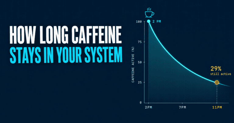 How long does caffeine stay in your system — half-life decay curve