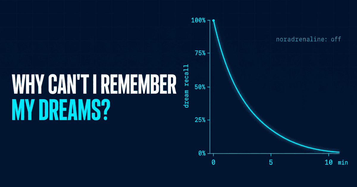 Why Can’t I Remember My Dreams? The Brain Chemistry That Never Saves Them